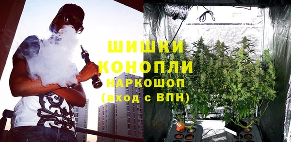 спайс Бородино