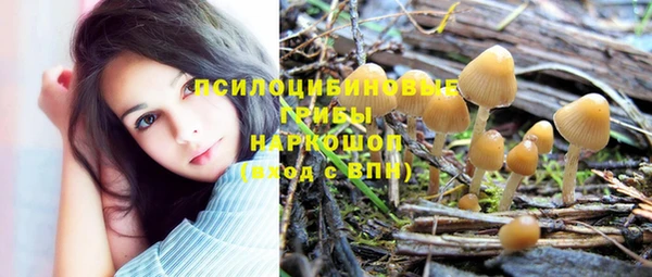 apvp Бронницы