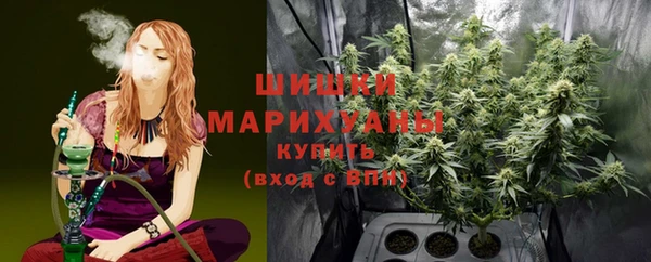 спайс Бородино